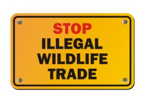 Sign saying stop illegal wildlife trade