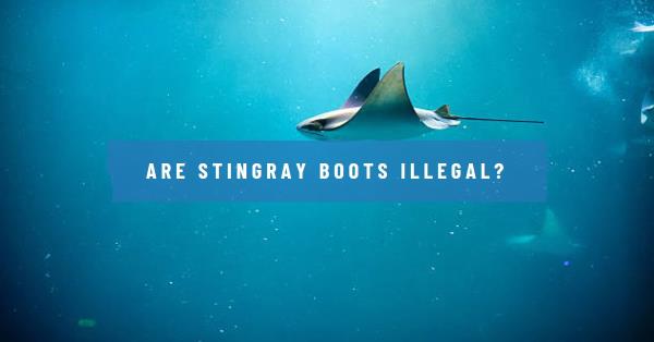Are Stingray Boots Illegal?