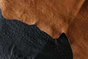 Full Quill Ostrich Leather hides