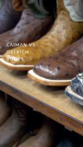 Ostrich vs Caiman Boots