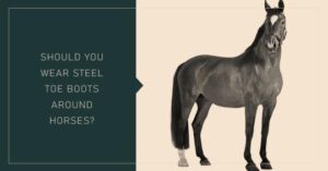 Steel Toe Boots and Horses