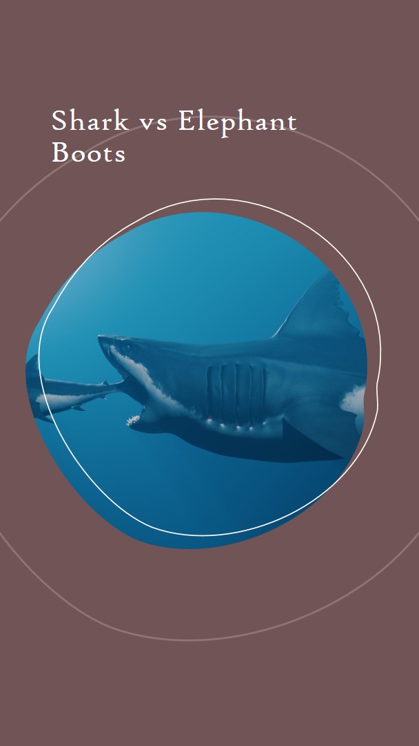Shark vs Elephant Boots