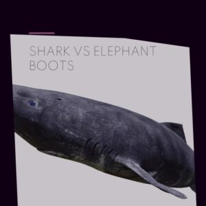 how to choose shark or elephant boots