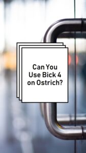 is bick 4 good for ostrich boots